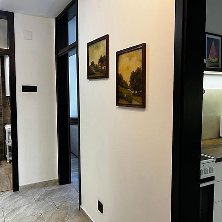 Apartman Darvin / Lux بلغراد المظهر الخارجي الصورة