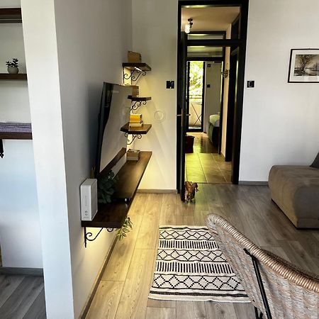 Apartman Darvin / Lux بلغراد المظهر الخارجي الصورة