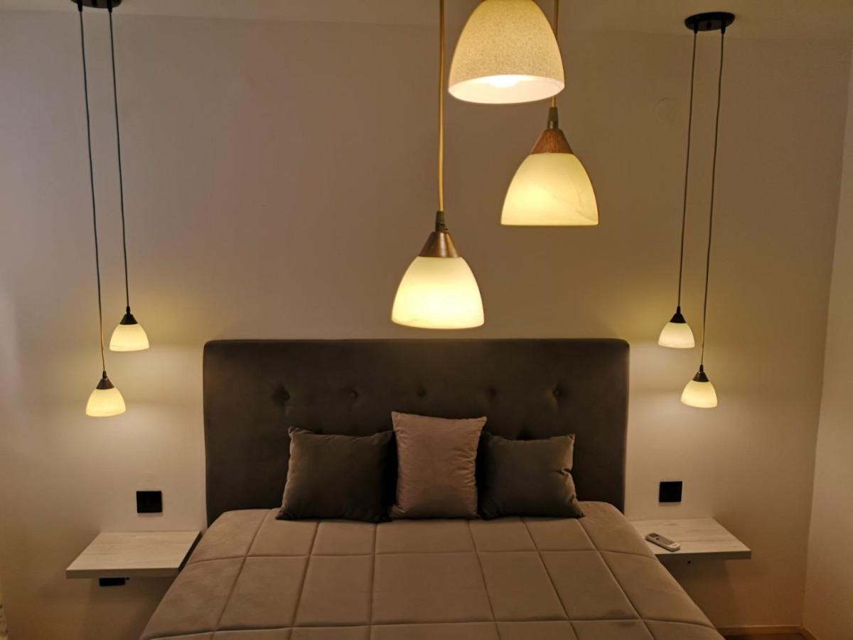 Apartman Darvin / Lux بلغراد المظهر الخارجي الصورة