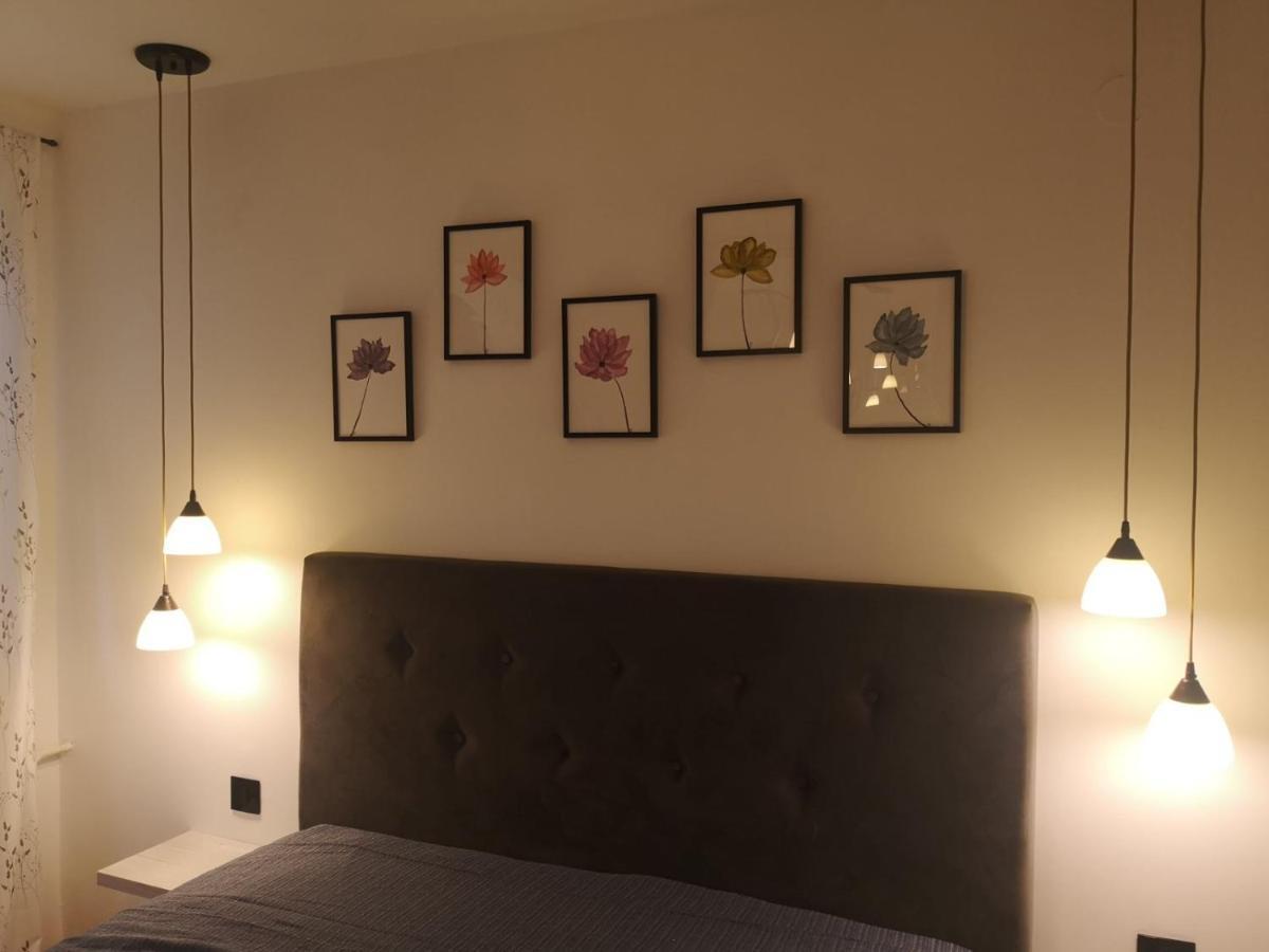 Apartman Darvin / Lux بلغراد المظهر الخارجي الصورة