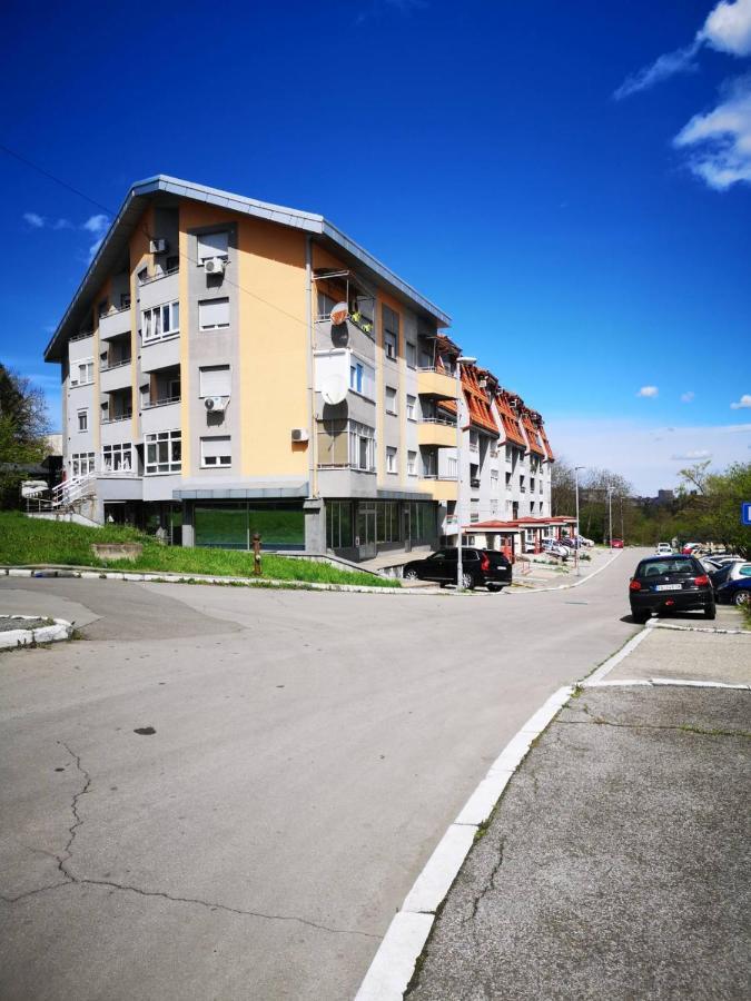 Apartman Darvin / Lux بلغراد المظهر الخارجي الصورة