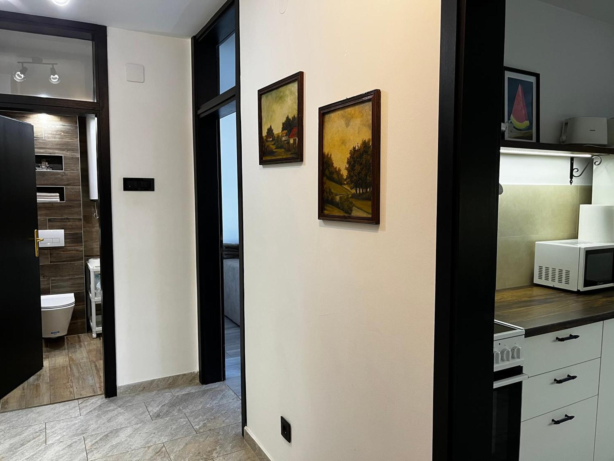 Apartman Darvin / Lux بلغراد المظهر الخارجي الصورة